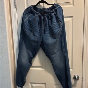 Torrid Blue Relaxed Fit Jeans